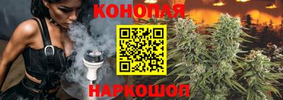 шишки Ирбит