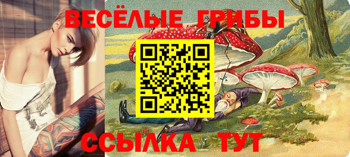 Псилоцибиновые грибы Psilocybe Кудымкар