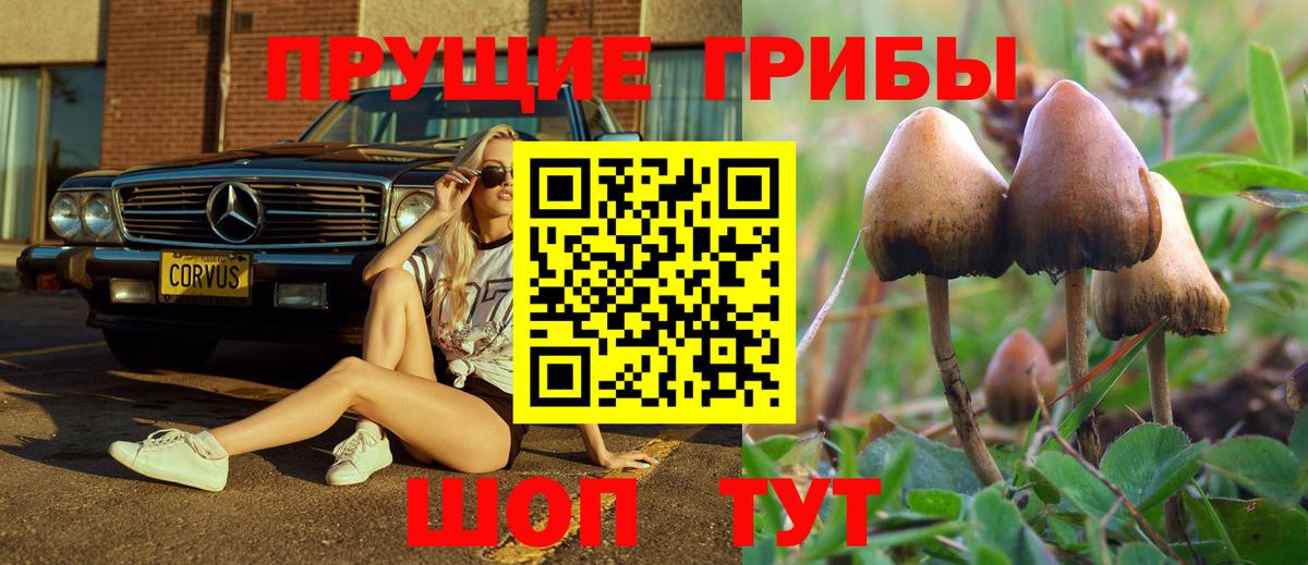 Кудымкар  Псилоцибиновые грибы мухоморы  где можно купить наркотик  Псилоцибиновые грибы GOLDEN TEACHER  Вход с VPN 