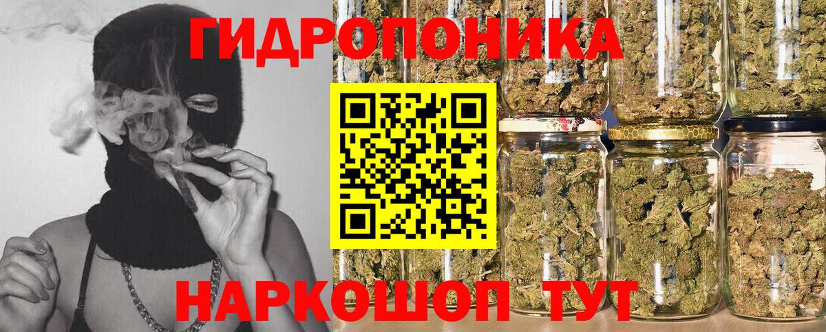 Кудымкар  Канабис индика  Вход с VPN  Шишки марихуана семена 